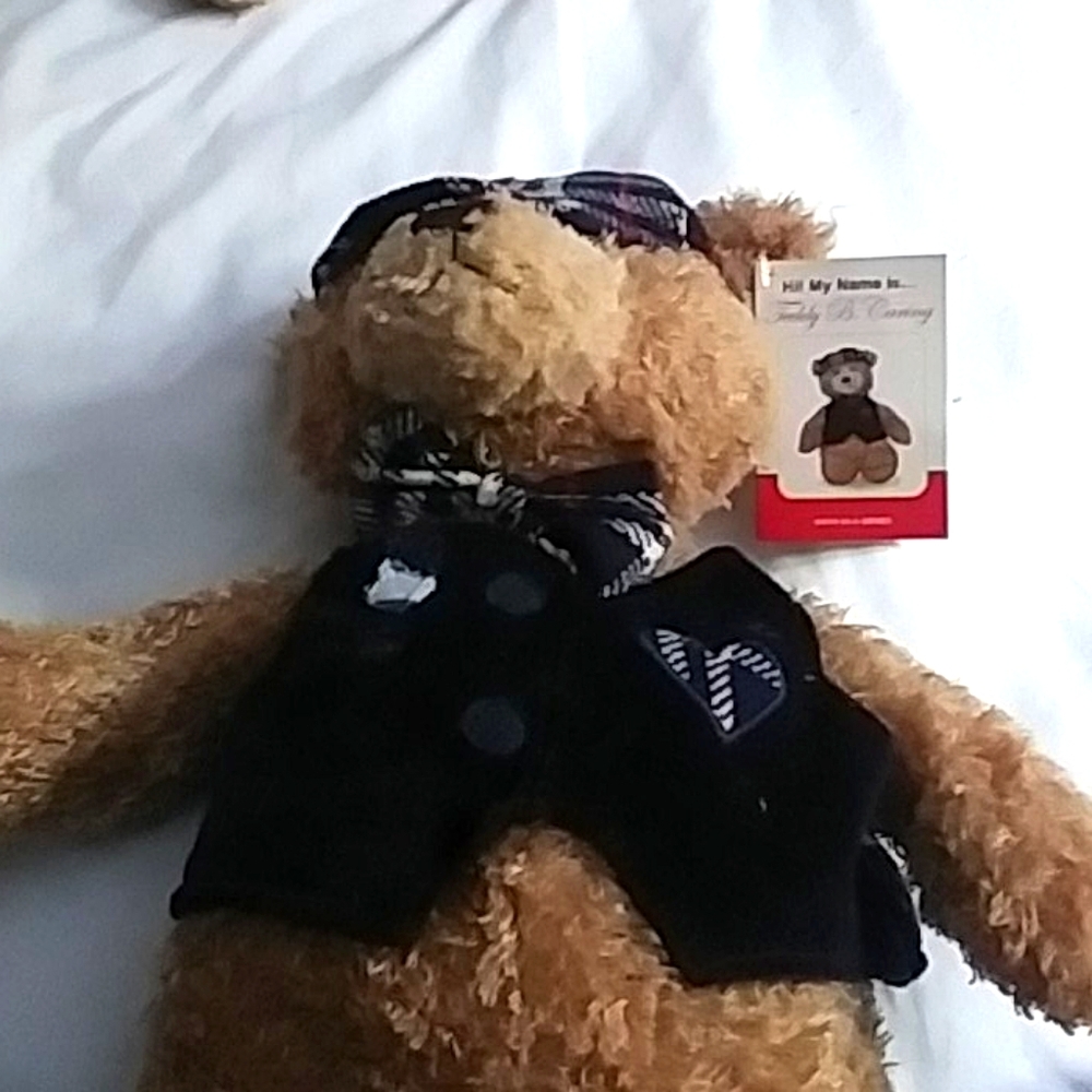 Teddy bear